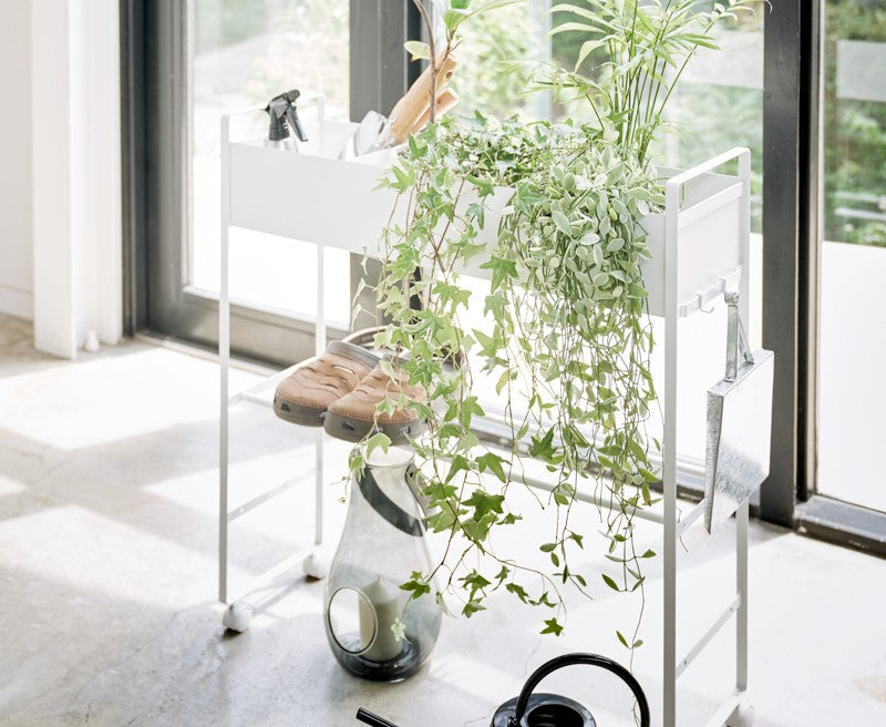 New Collection: Smart Products for Every Corner of Your Home