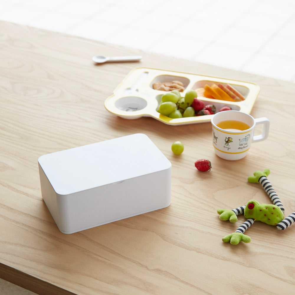 Feuchttücherbox