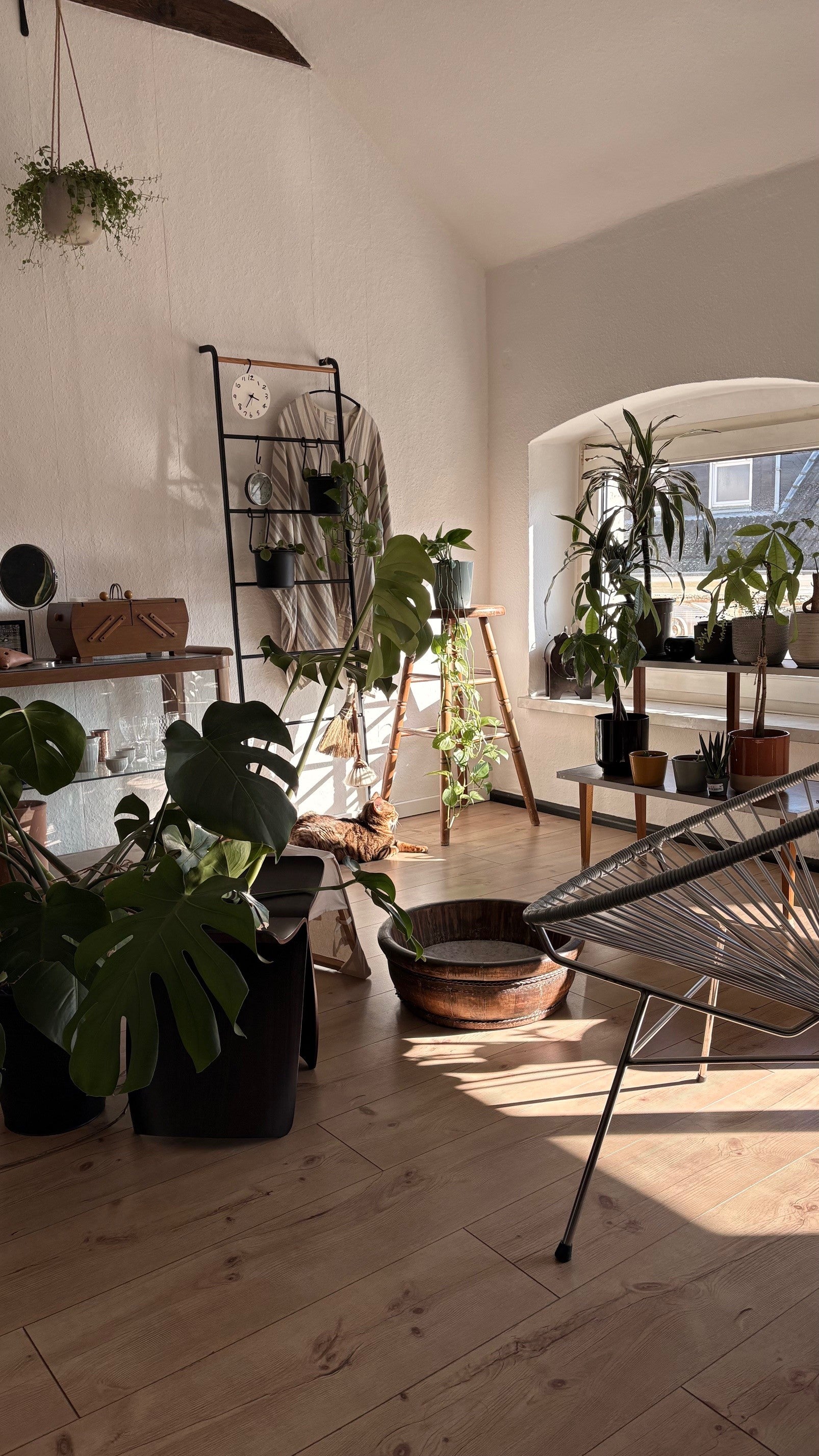 Yamazaki Home Blog