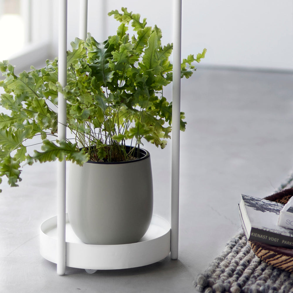 Supporto Per Piante A Terra In Metallo Nero | Esagonale 40 Cm | Portavaso Design Moderno Per Interni Ed Esterni