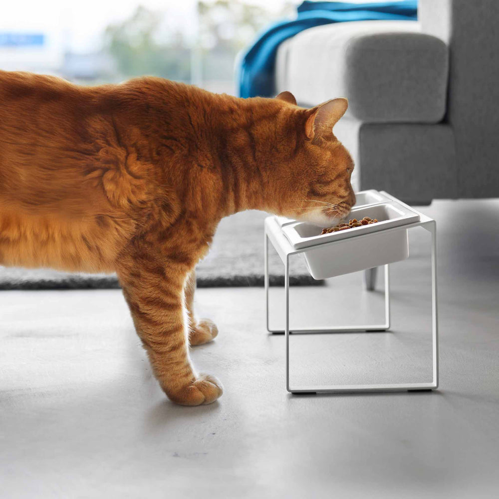 Angled Pet Food Bowls with Slow Feeder & Stand – Yamazaki Home Europe