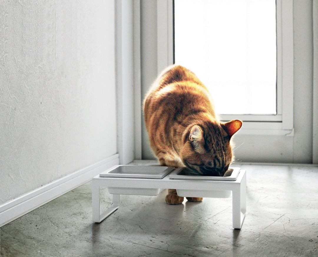 Cat food tower hotsell